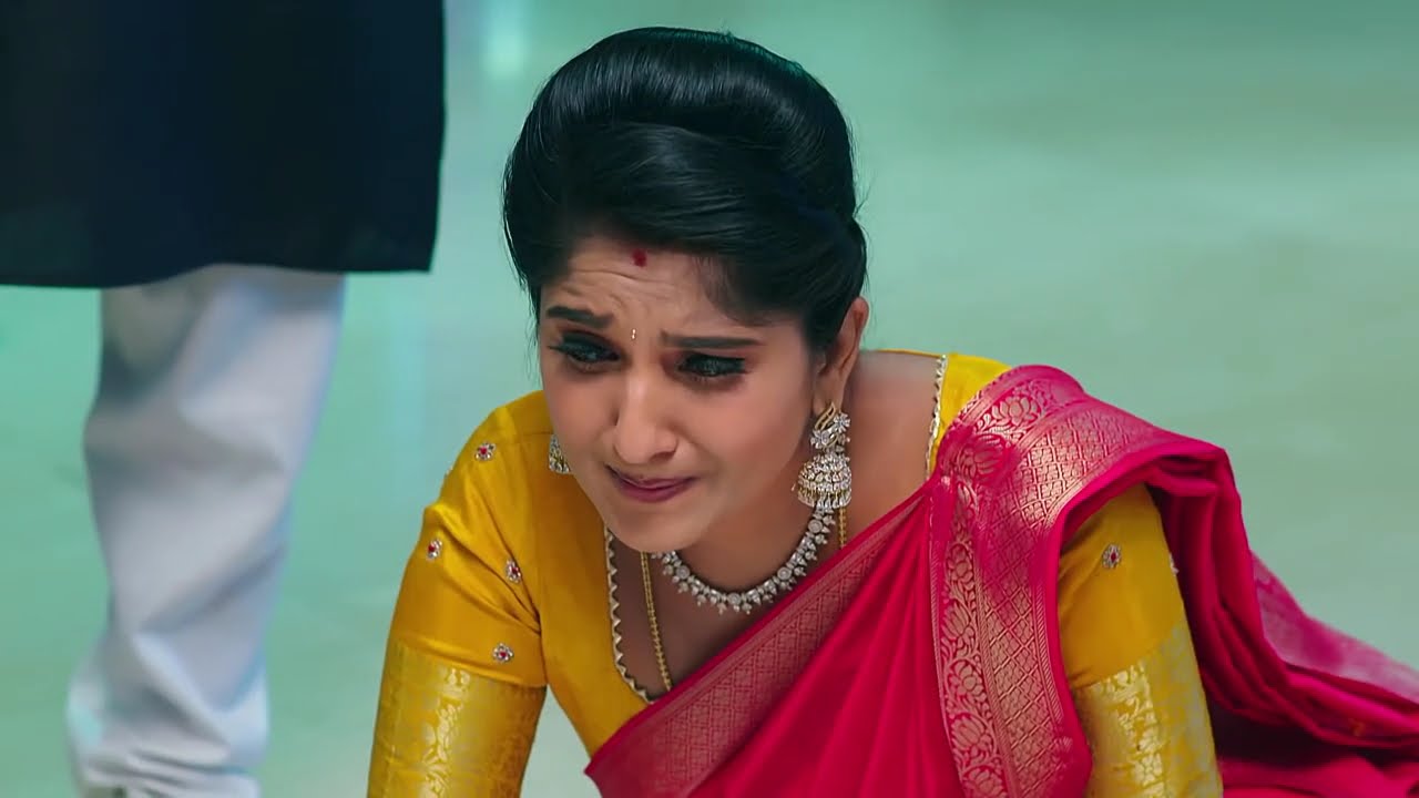 Kalyanam Kamaneeyam - Ep 313 - Meghana Lokesh - Telugu Tv Serial - Zee5 Telugu Classics