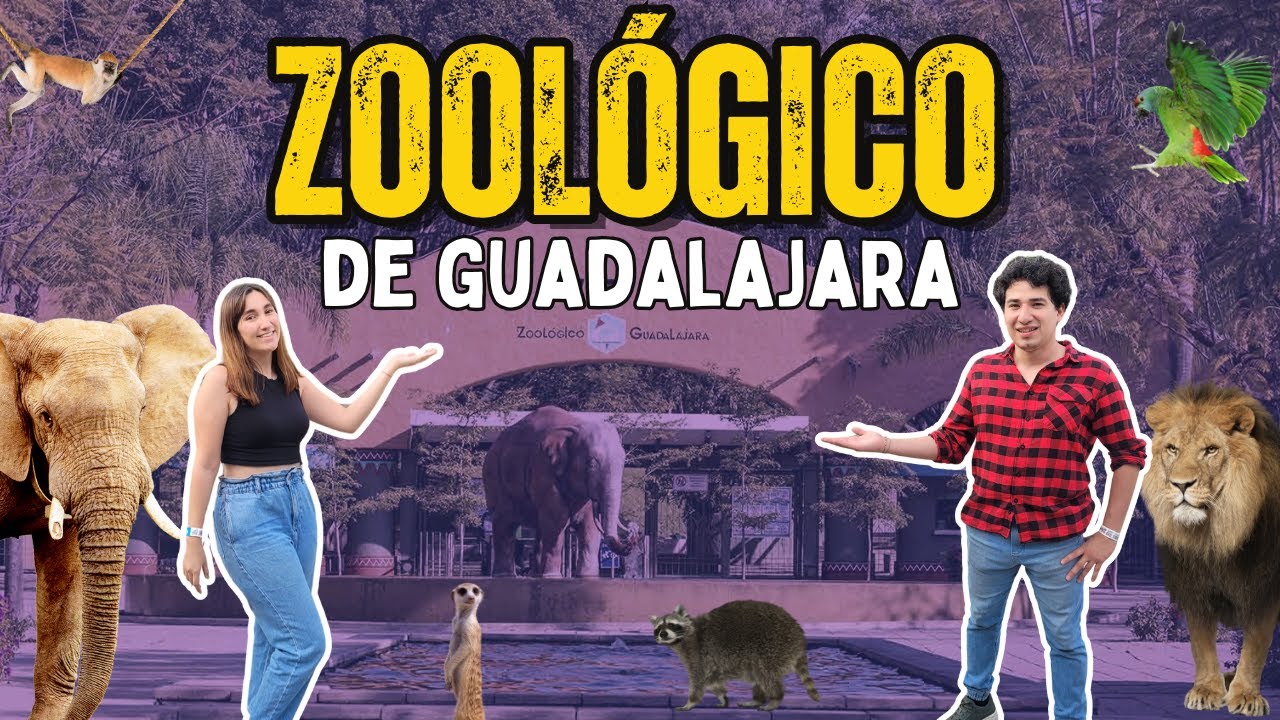Zoológico de Guadalajara! ¿Vale la pena?