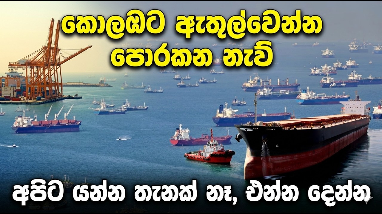 නැව් කොලබ වාරායේ පොර කති - Colombo Port