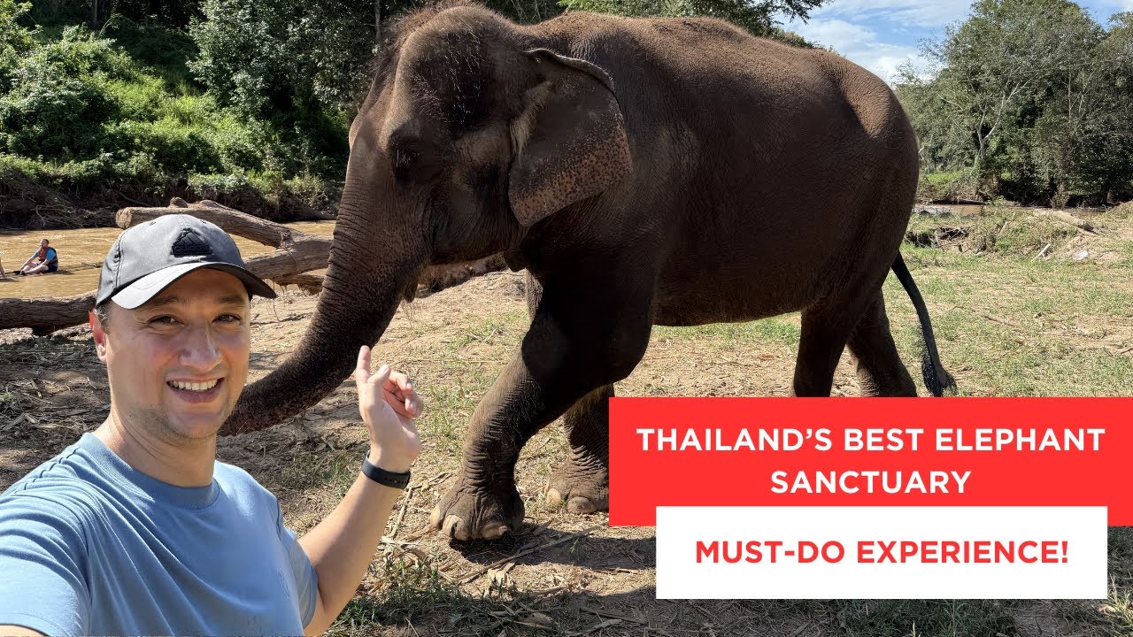 Best Elephant Sanctuary Experience | What To Do in North Thailand | Chiang Mai Thailand Vlog