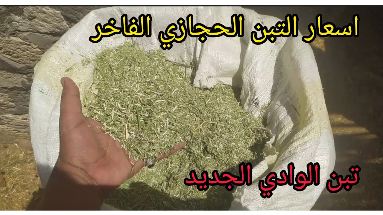 اجمل تبن حجازي تبن الوادي الجديد بأجمل اسعار للجمله والقطاعي داخل المزرعة