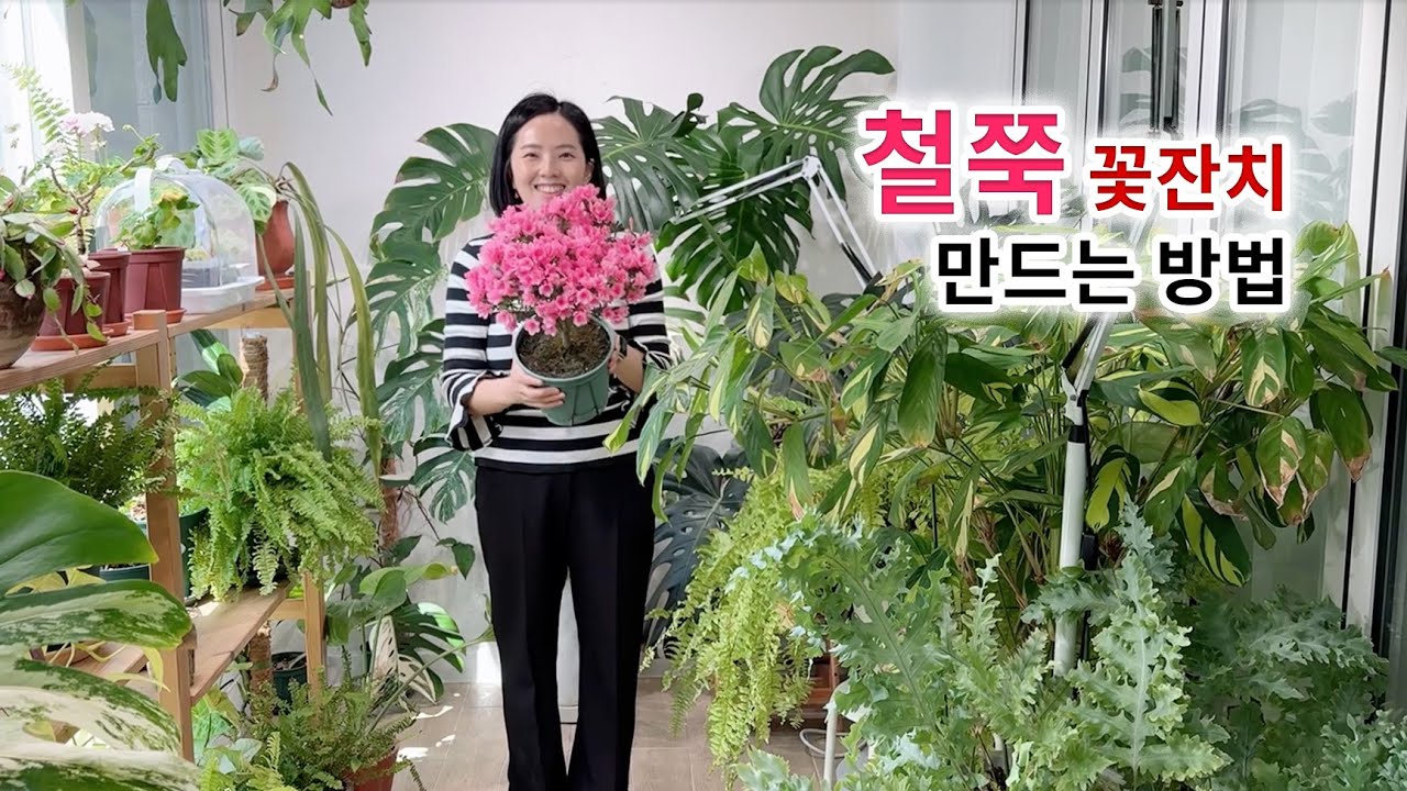 방울철쭉 이렇게 키워보세요