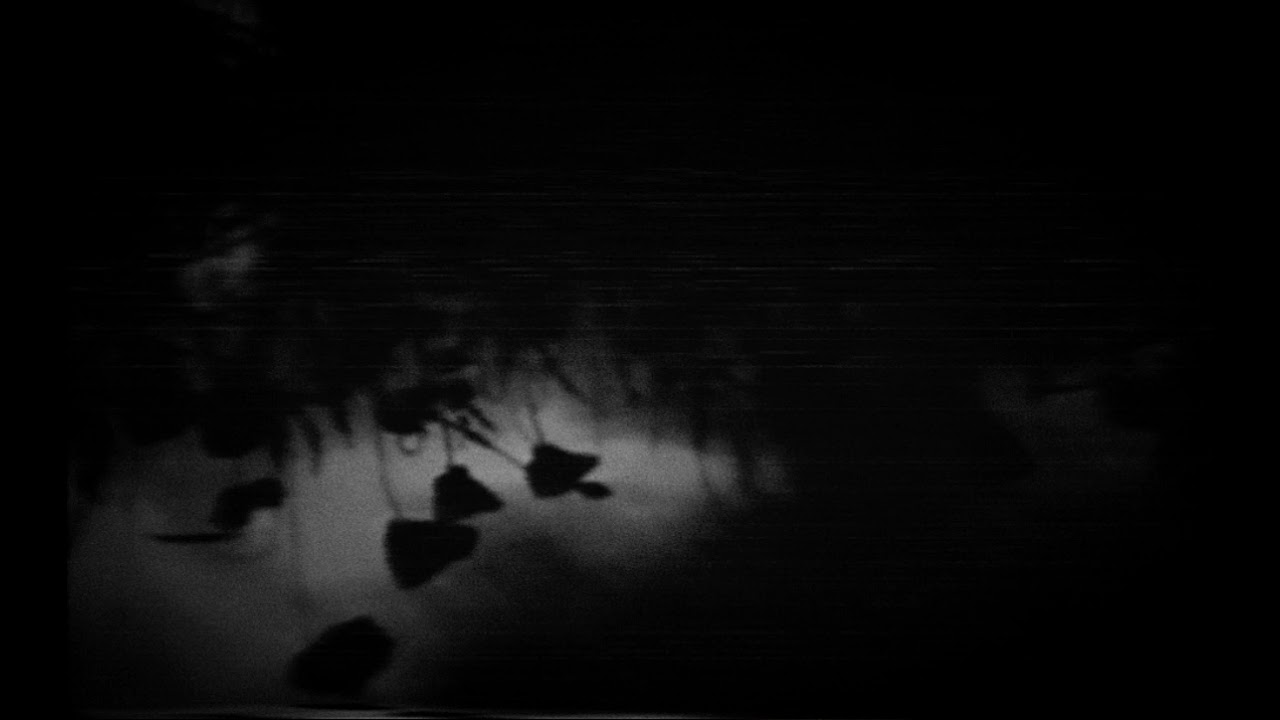 Ludwig van Beethoven - Moonlight Sonata (slowed + reverb)