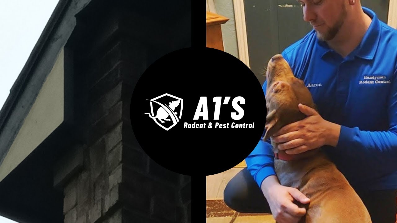 A1's Rodent & Pest Control
