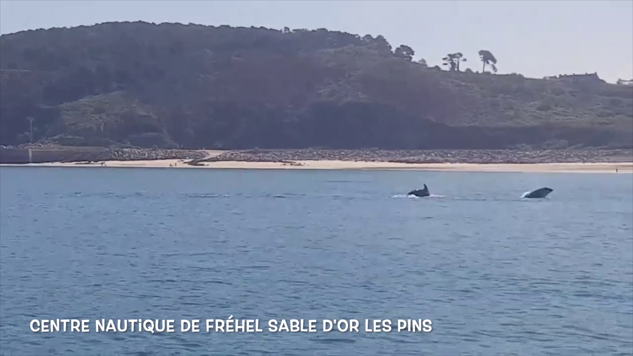 Sables D'Or Les Pins