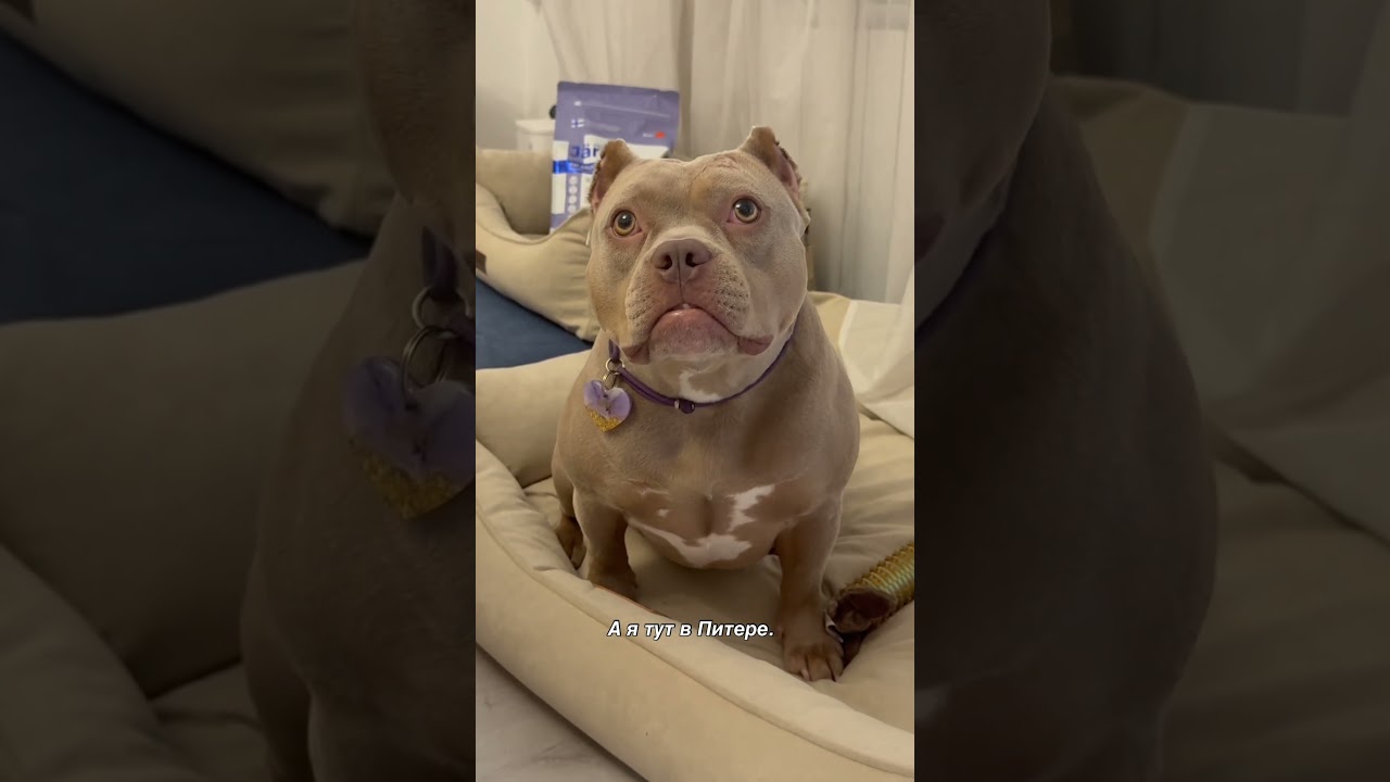 20 сентября 2025 г.