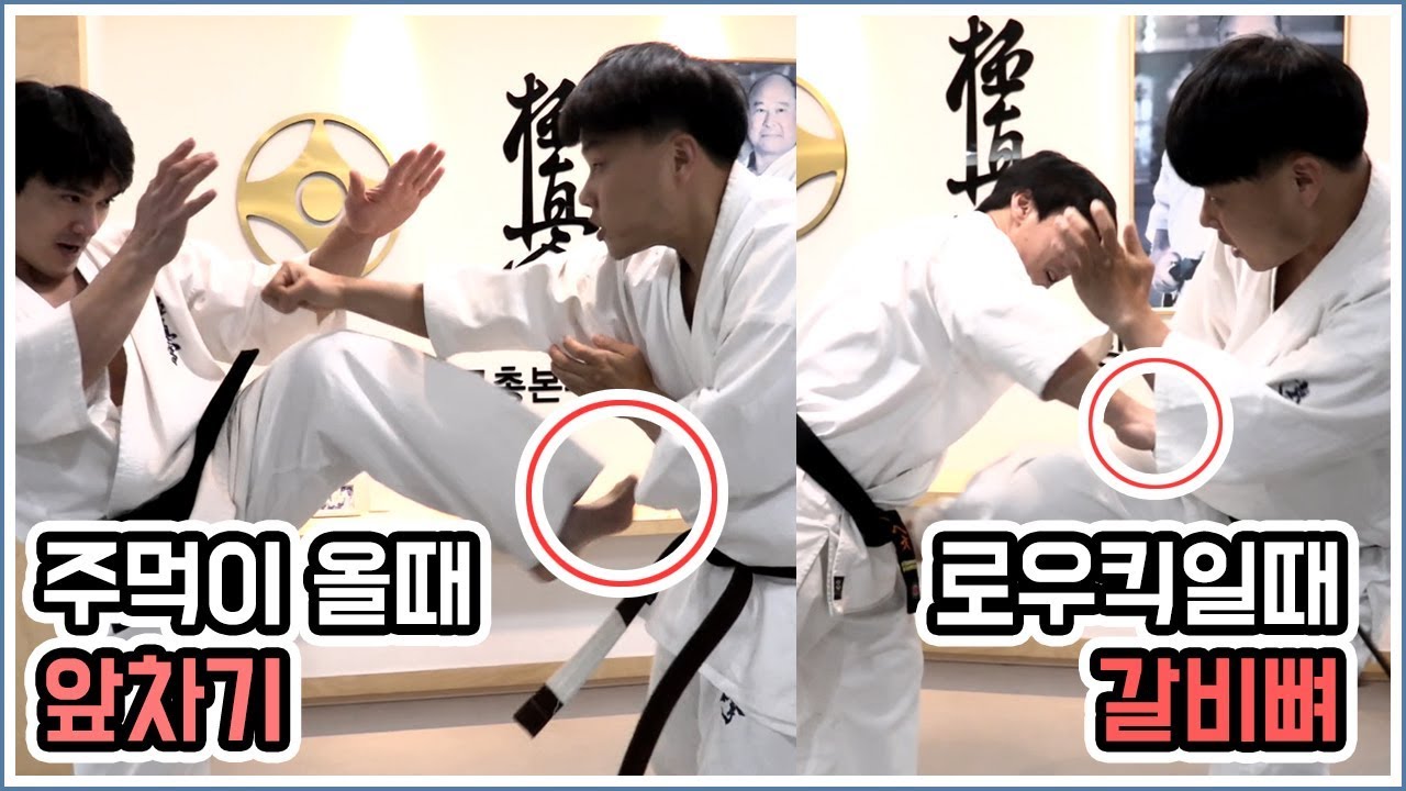 주먹이 날아오면 앞차기로, 로우킥이 오면 갈비뼈를 노리세요