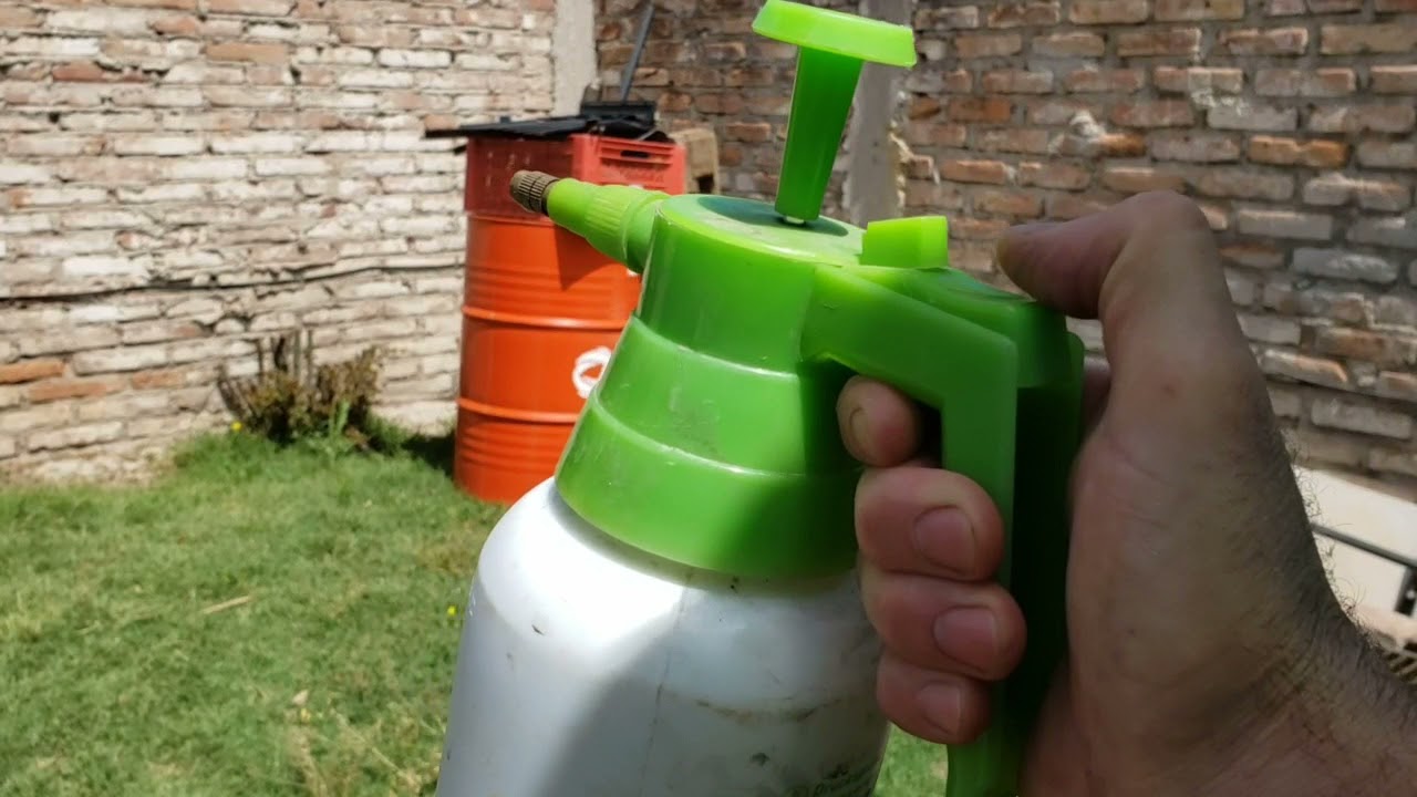 COMO ELIMINAR MATAR EXTERMINAR AVISPAS  EN CASA  , FÁCIL , RÁPIDO Y ECONÓMICO.
