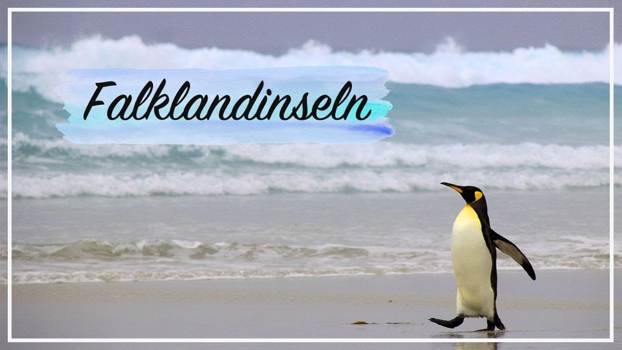 ANTARKTIS VLOG #3 -  Pinguine & Plastikmüll am Ende der Welt