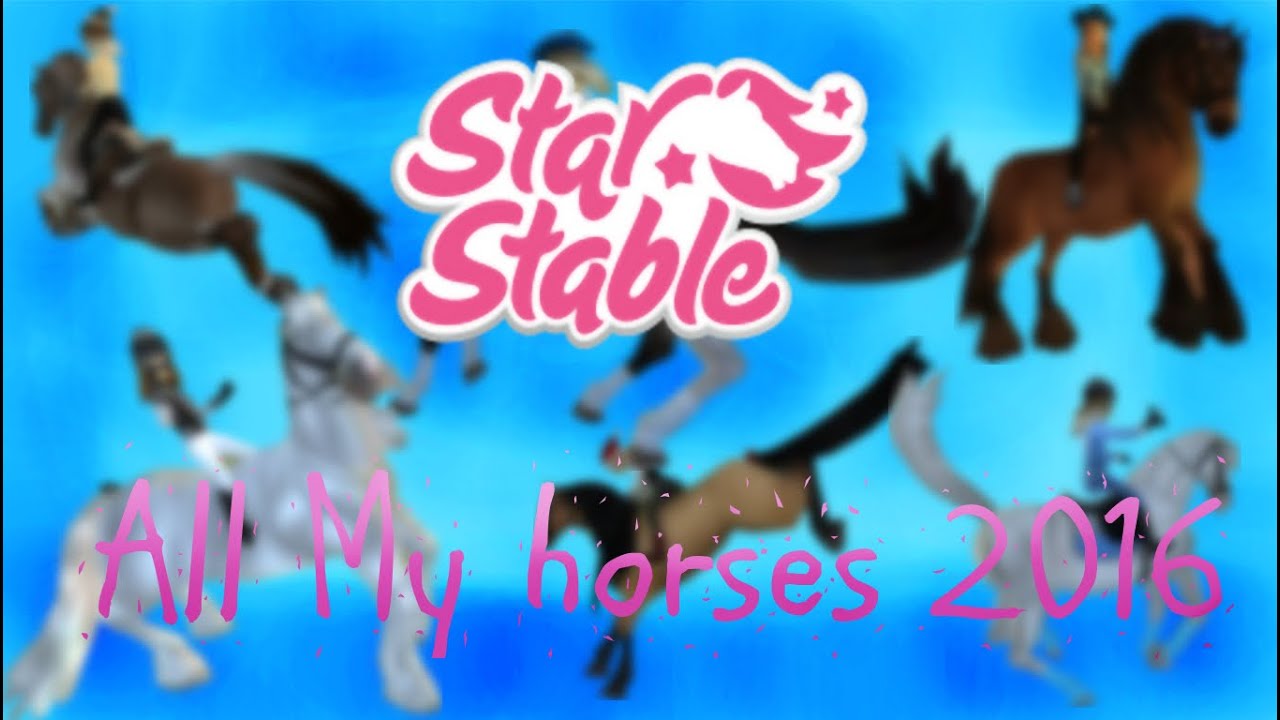 |SSO| &hearts; All my horses 2016 &hearts;|
