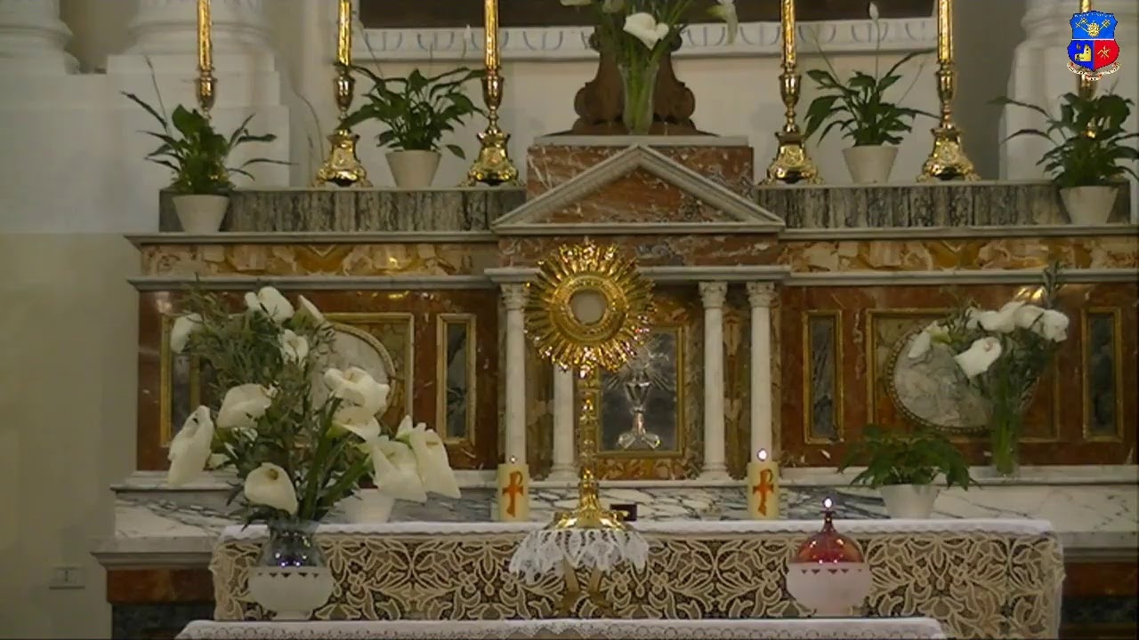 Martedì della Settimana Santa 07/04/2020