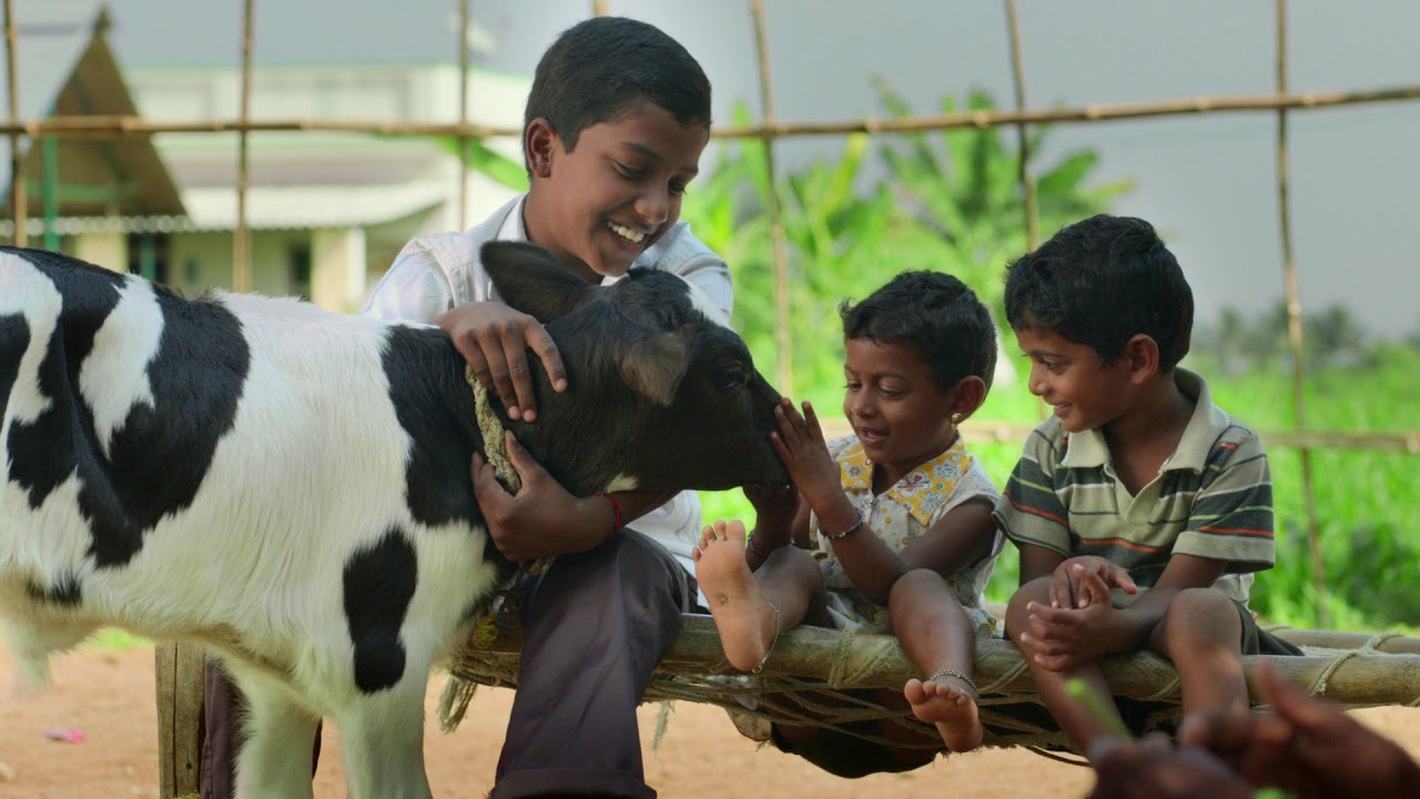 AROKYA Milk