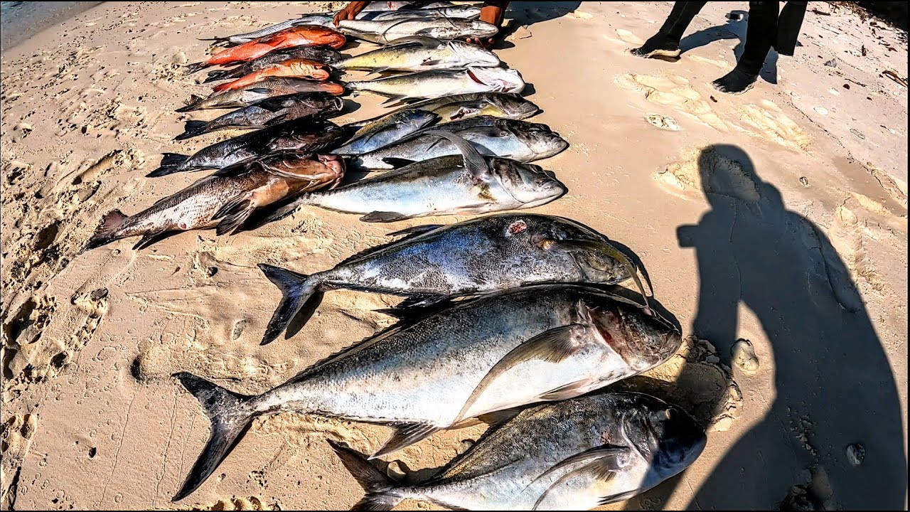 SANANA Kepulauan SULA | The Best Spot Spearfishing | Spearfishing INDONESIA