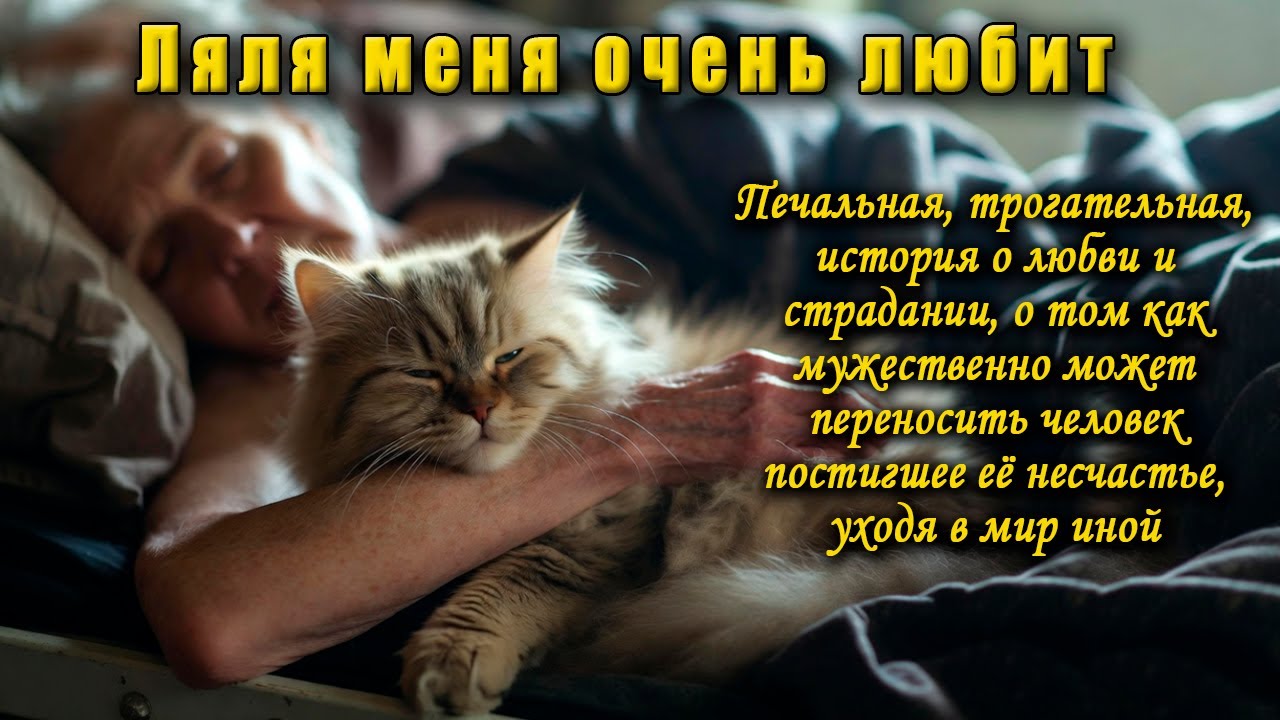 How a cat saved me from loneliness