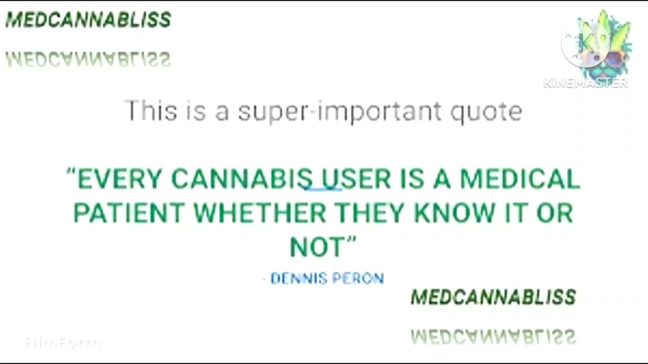 Review Of Tilary Master Kush