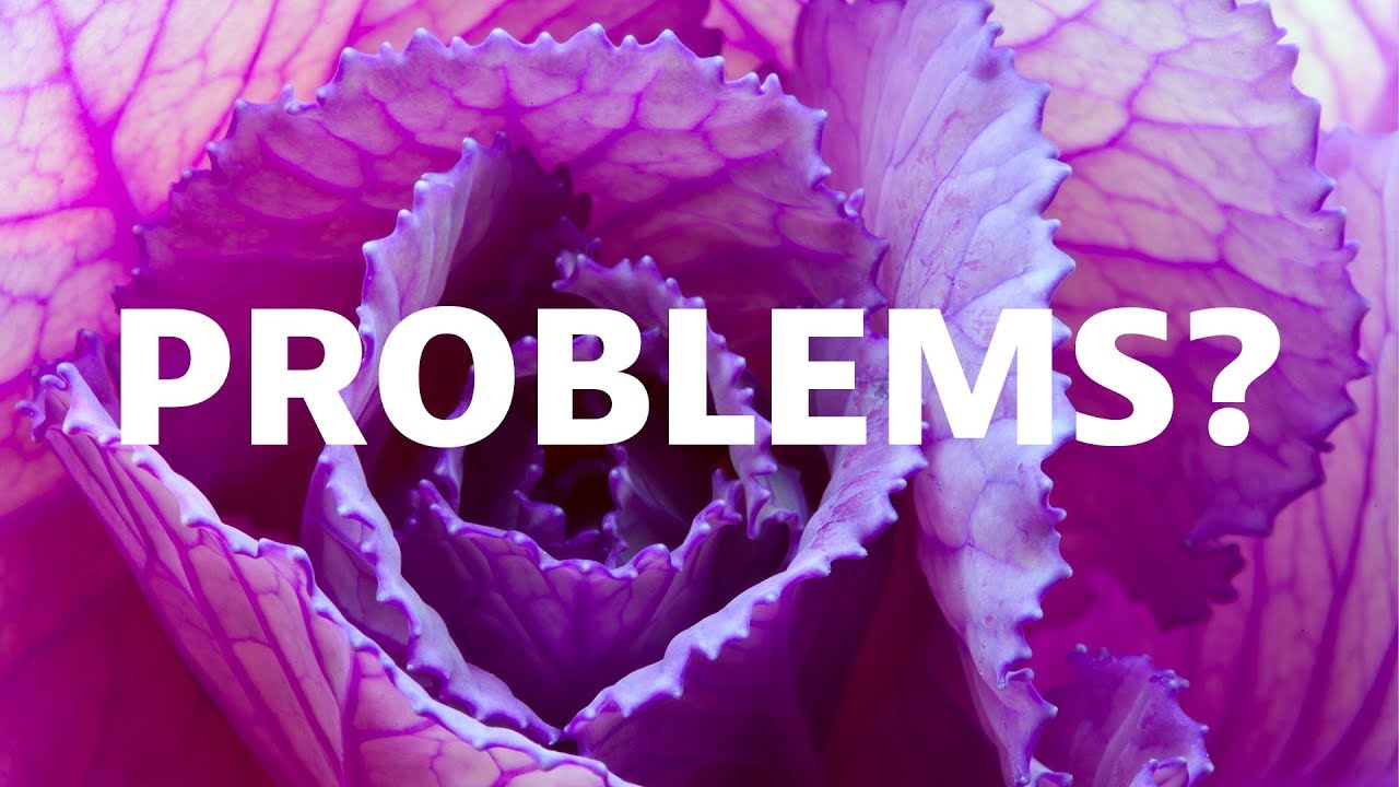 What's Your Problem?
