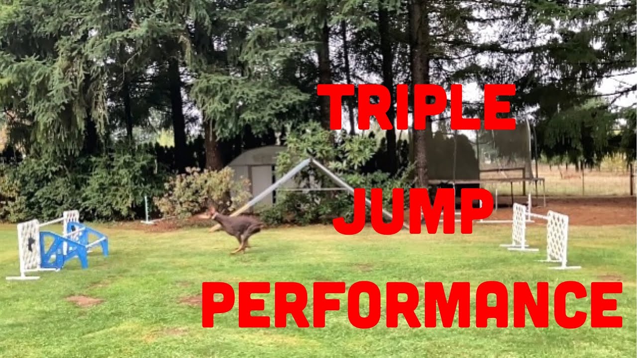 Agility Triple Bar Performance vs Single Bar