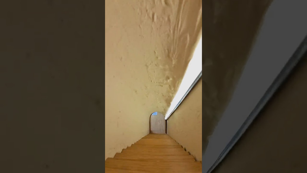 Pets Mini House Tour - Into the Mouse Hole - 2-year DIY Mini Home for Pets