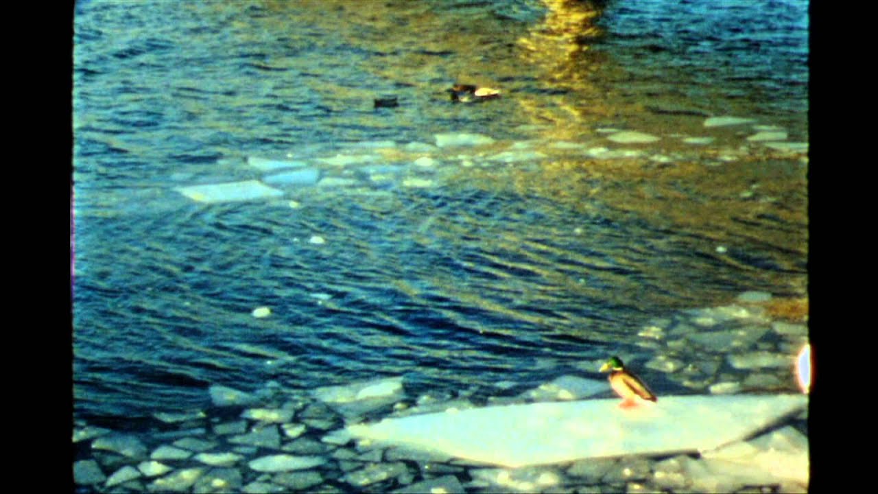 Östersund 130112 - Nizo 801 Macro - Ektachrome 100D