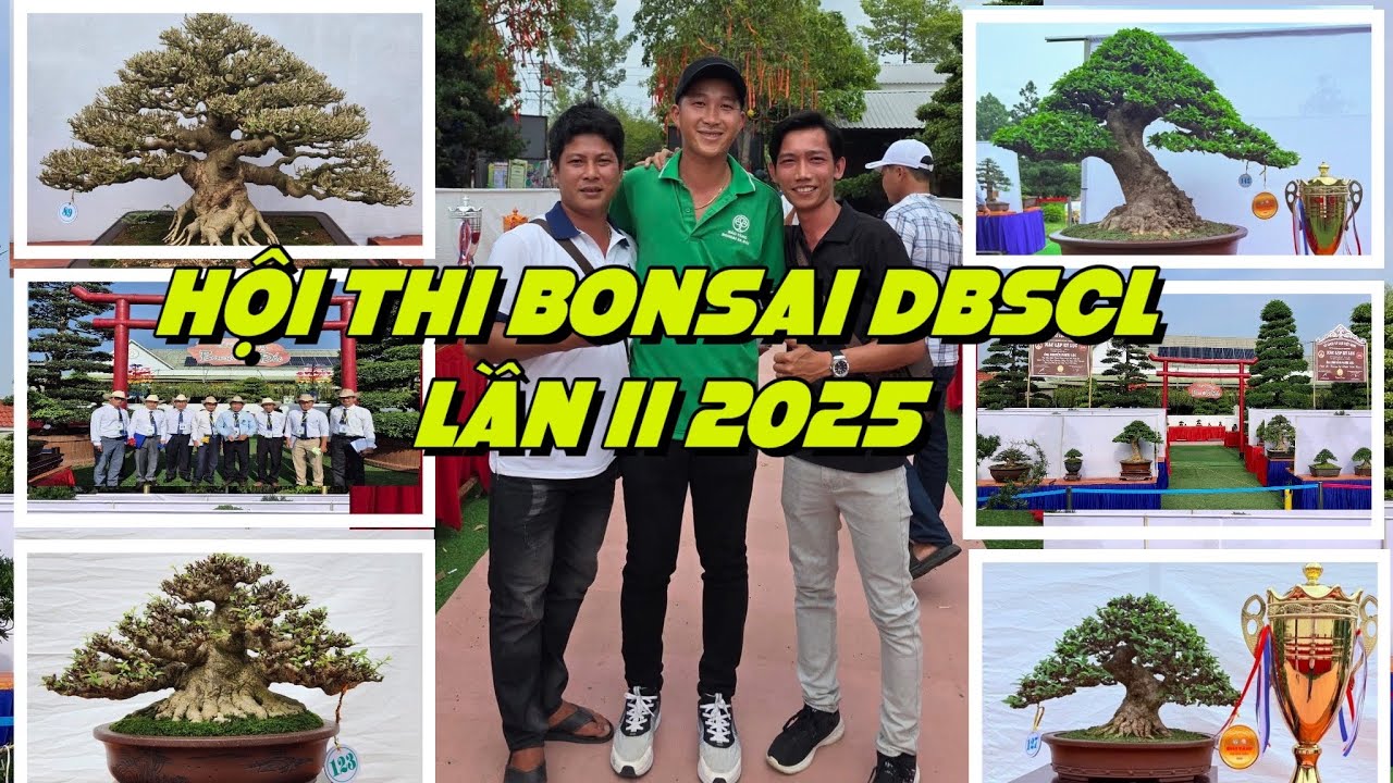 Hội Thi Bonsai DBSCL lần II 2025 \festival hoa Sa Đéc /Bonsai Ông Trẻ #bonsai #bonsaitihon #caycanh
