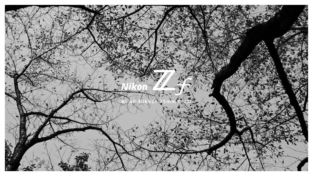 Nikon Zf 秋の散歩スナップ - Ai AF Nikkor 35mm f/2D