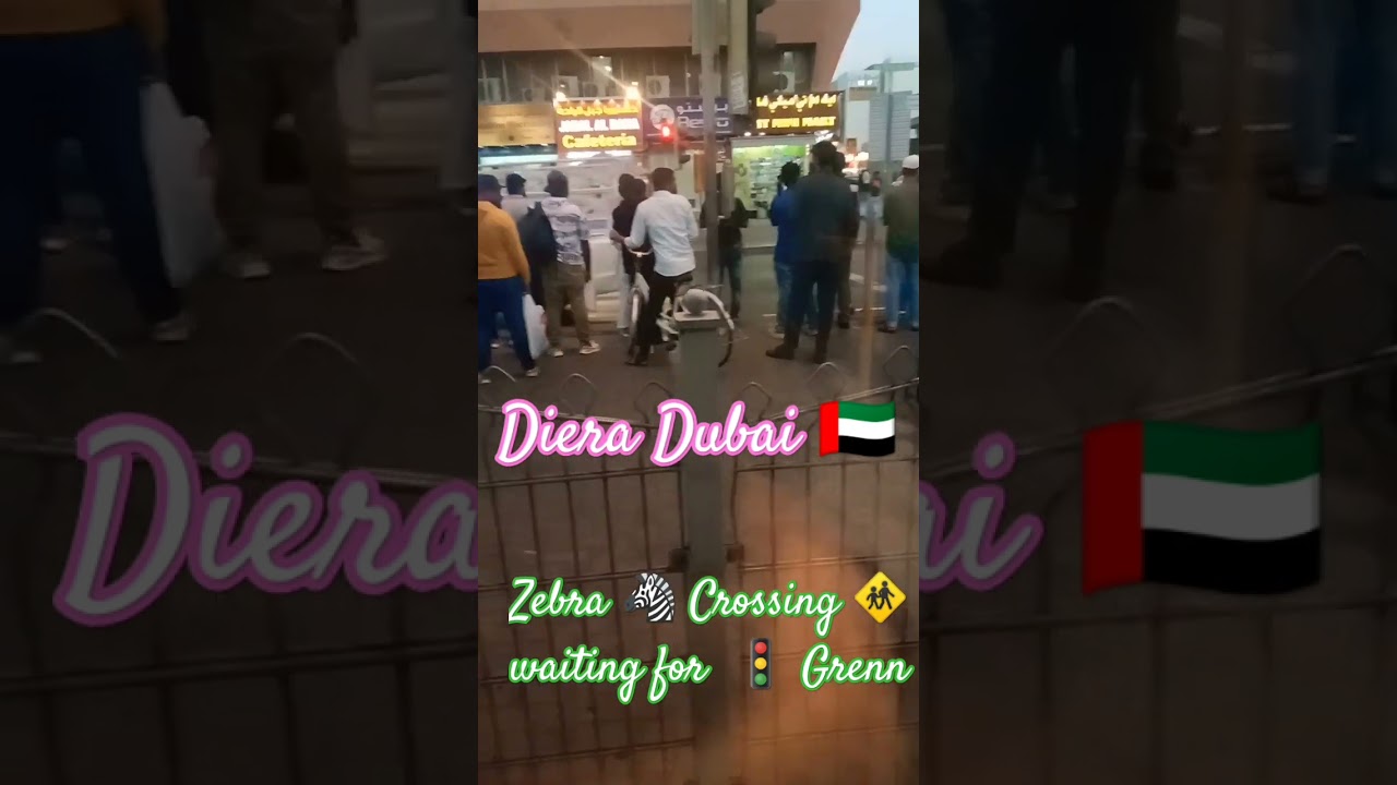 Follow the rules in Dubai 🇦🇪. #trending #dubai #dieradubai#dubaideira