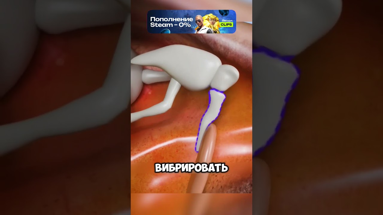 Безумные факты и немного науки | часть 120