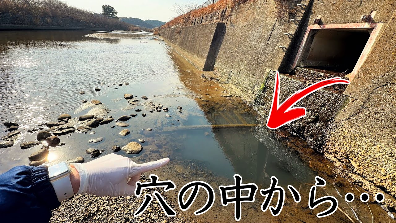 川の端っこに出来た穴の中は巨大外来生物の住処になっていた…