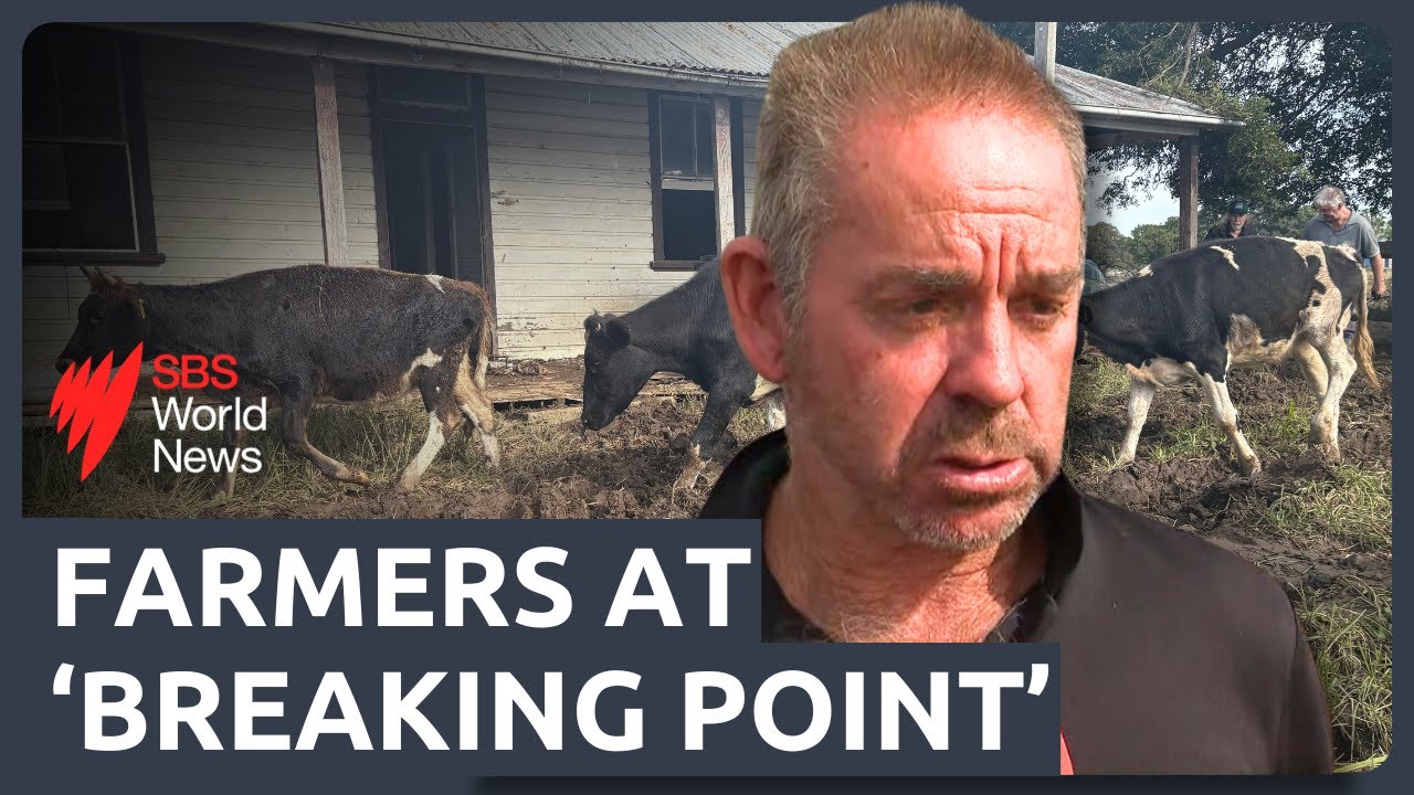Devastating cleanup for farmers in flood-hit regions of NSW