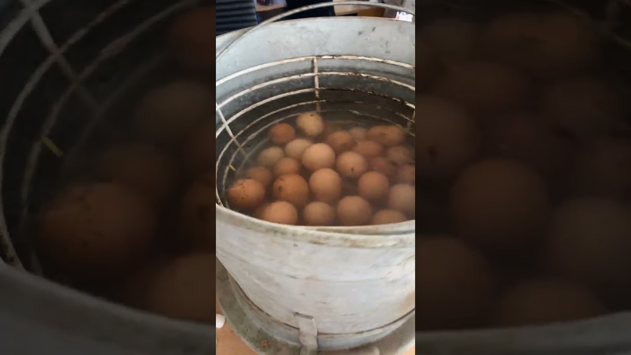 How to clean very dirty chicken eggs easy