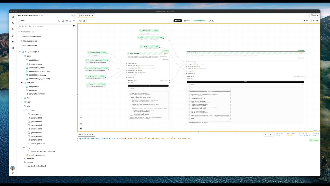 RNA-Seq Pipeline in Bioinformatics Studio (Part 1): HISAT2 Alignment to featureCounts