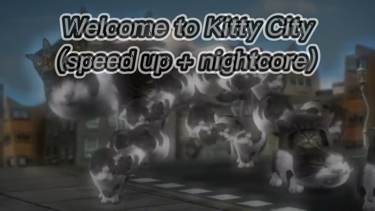 Welcome to Kitty City (speed up + nightcore) #shibrongamer