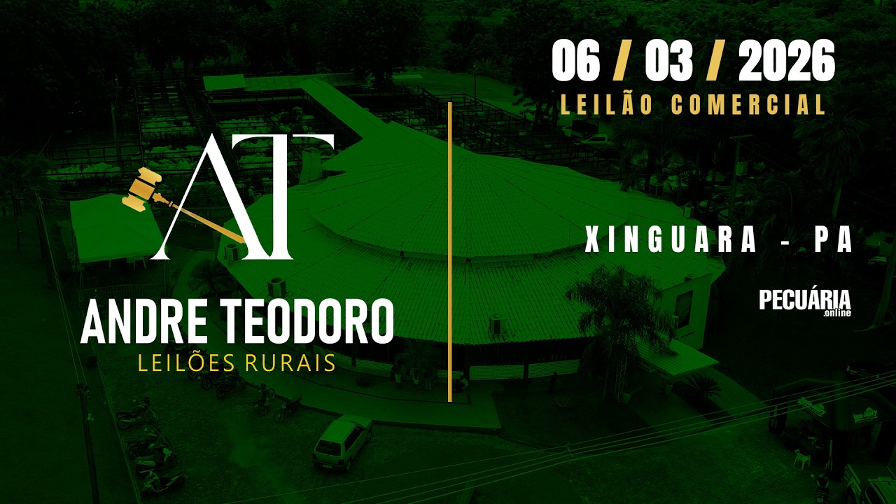 Leilão Comercial - André Teodoro Leilões Rurais - 06/03/2026 - Xinguara/PA