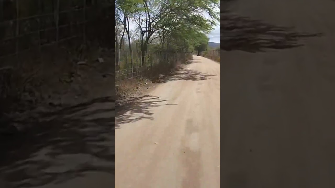 ladeir&atilde;o kkkkk
