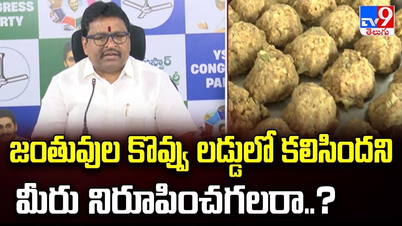 జంతువుల కొవ్వు లడ్డూలో కలిసిందని మీరు నిరూపించగలరా..? : Vellampalli Srinivas - TV9