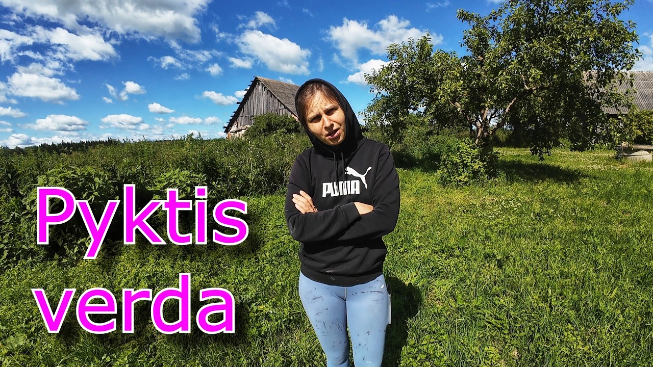 Birželio 30/Žolės sėklos dygsta/ Kaimo pramogos/ Baisi braškių kaina