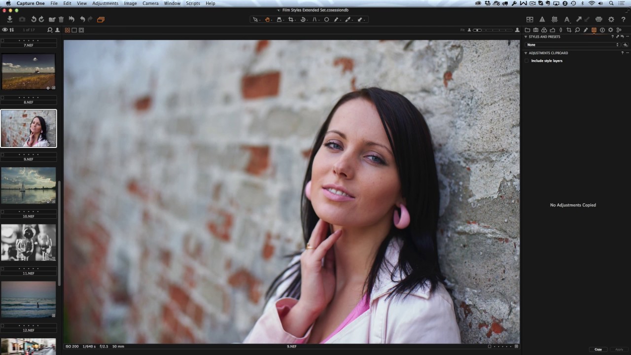 Capture One Film Styles Extended Set