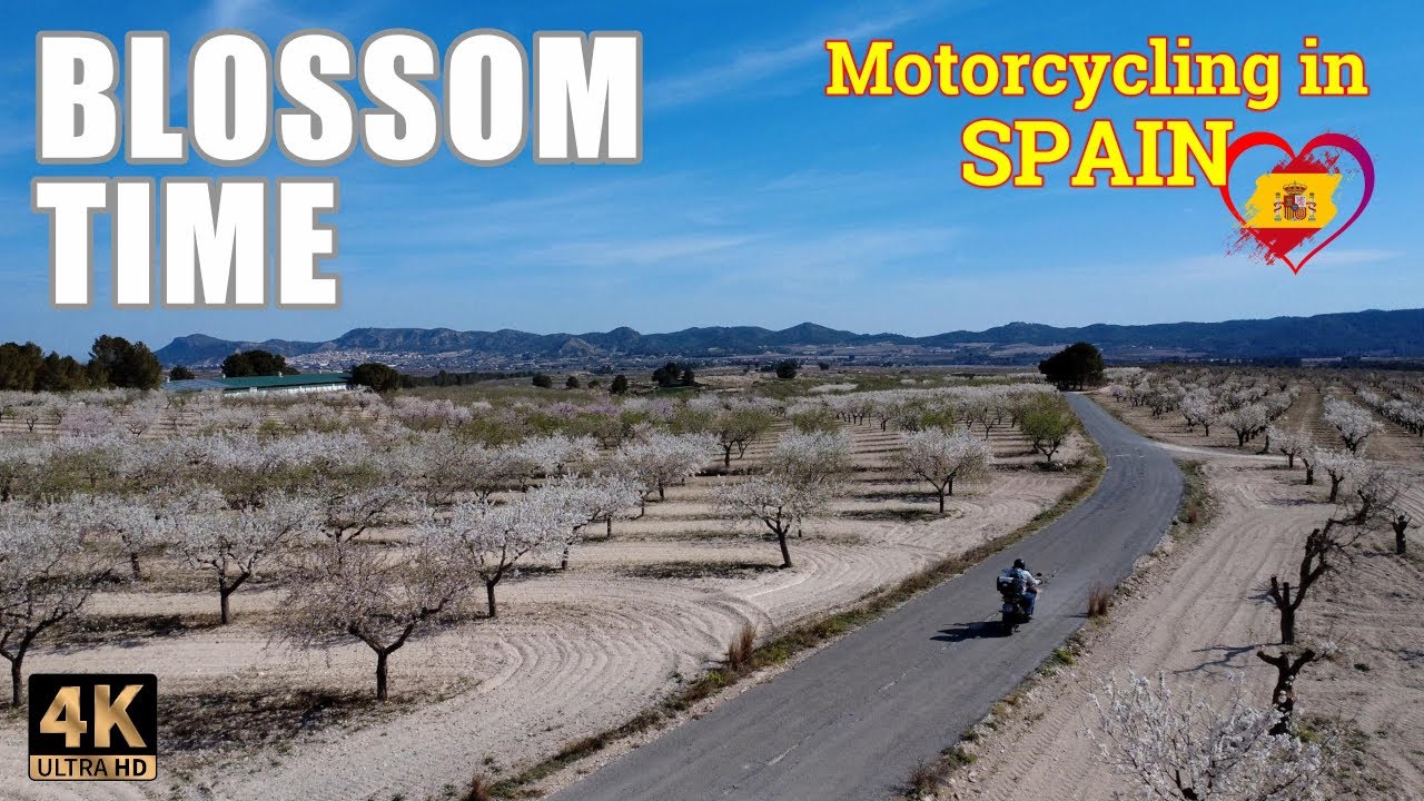 An EXHILARATING Motorcycle Tour in Mula Region, Murcia Spain