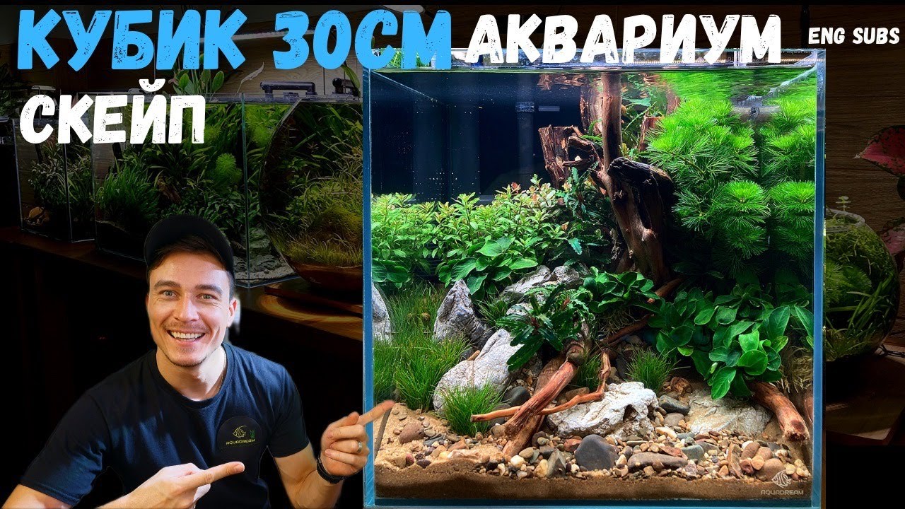 НОВЫЙ СКЕЙП | АКВАРИУМ КУБИК 30СМ | NEW SCAPE CUBE AQUARIUM 30CM | TUTORIAL