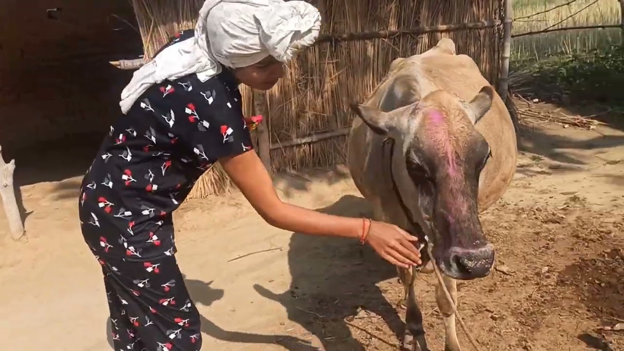 हमारी होली 🥳🤯!! DIVYA FAMILY VLOG !!