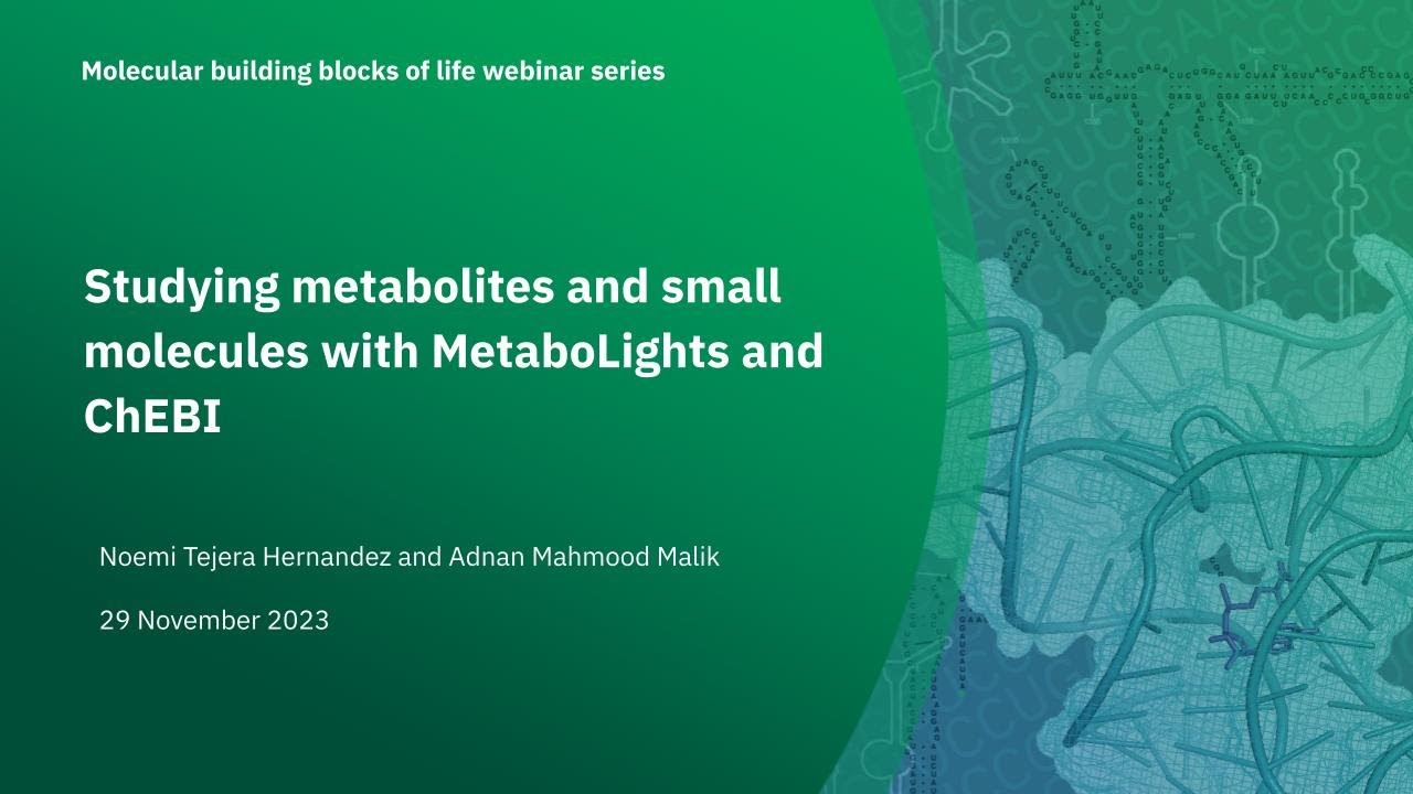 Изучение метаболитов и малых молекул с помощью MetaboLights и ChEBI