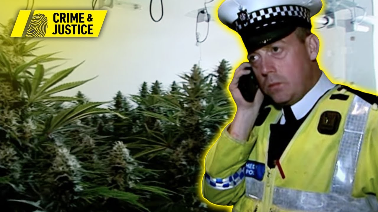 Hidden Cannabis Factory Discovered | Brit Cops