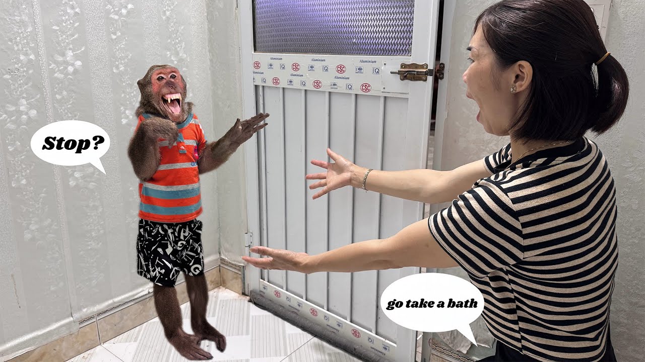 Super Funny! Abu Avoids His Mother from Taking a Bath
