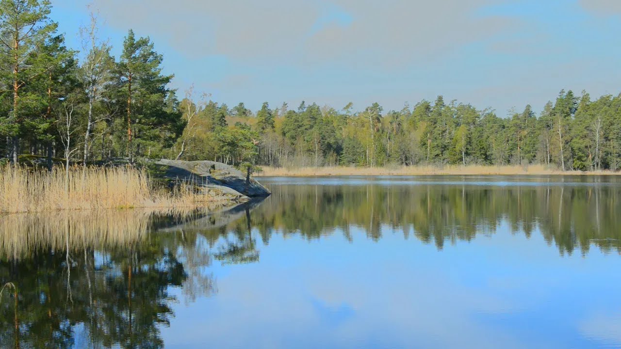 Öringesjön 2021