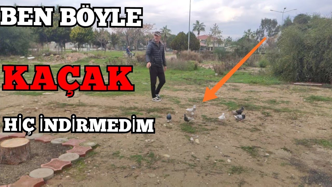 KAÇAK SEFER YAPA YAPA İNDİ.