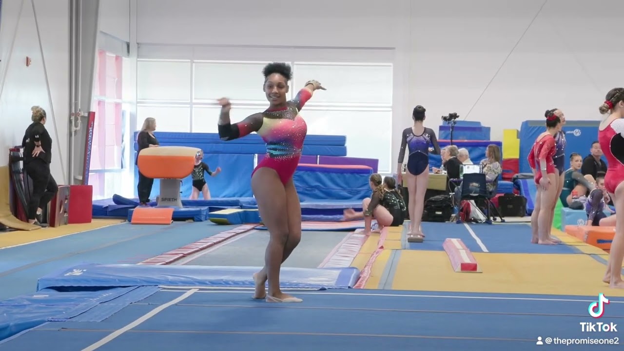 Gymnastics: