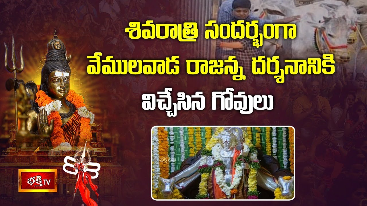 వేములవాడ శ్రీరాజరాజేశ్వర స్వామి ఆలయంలో మహా శివరాత్రి వేడుకలు | Vemulawada | Maha Shivratri 2021