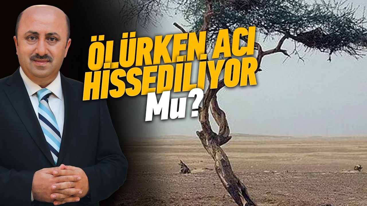 Ölüm Anında Sakın Bunları Yapmayın | Ömer Döngeloğlu