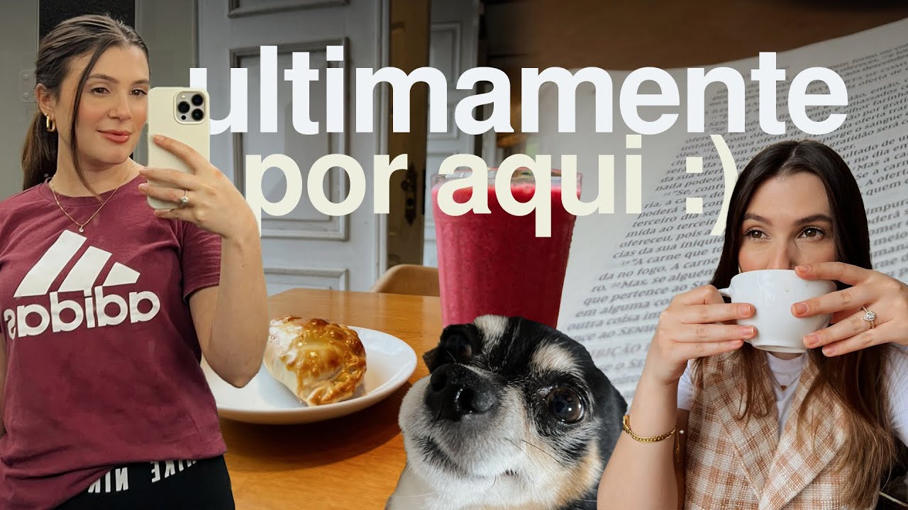 Vlogão de janeiro e fevereiro 
