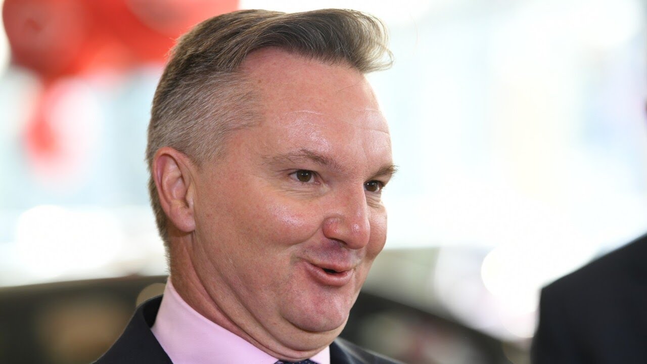 Chris Bowen is ‘not too bright’ and ‘doesn’t know very much’: Ian Plimer